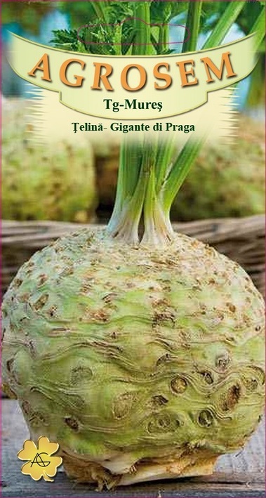 Țelină - Gigante di Praga