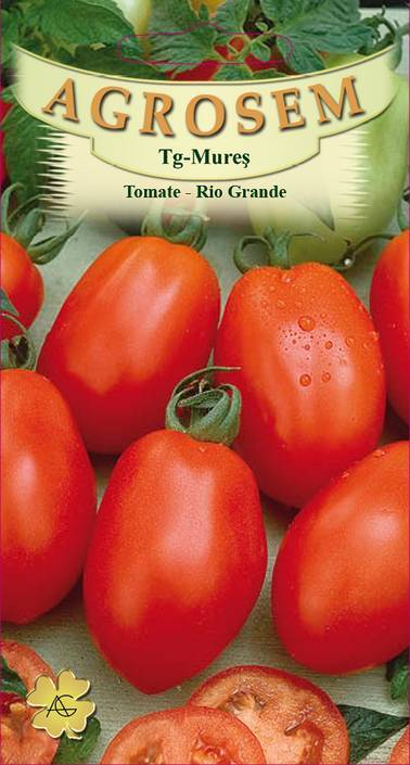 Tomate - Rio Grande