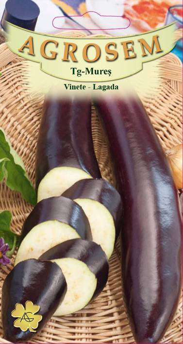 Vinete - Lagada