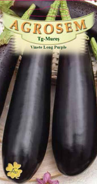 Vinete - Long Purple