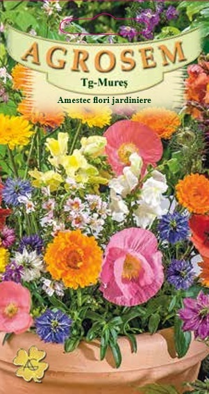 Amestec flori jardiniere