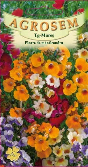 Floare de măcăleandru