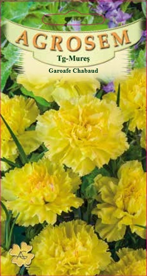 Garoafe Chabaud Galbene