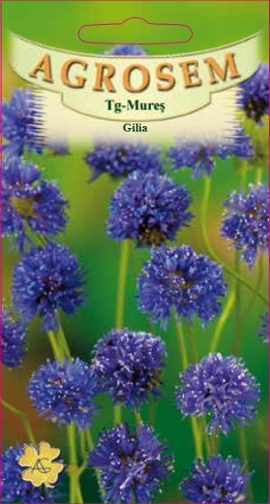 Gilia