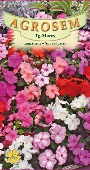 Impatiens - Sporul casei