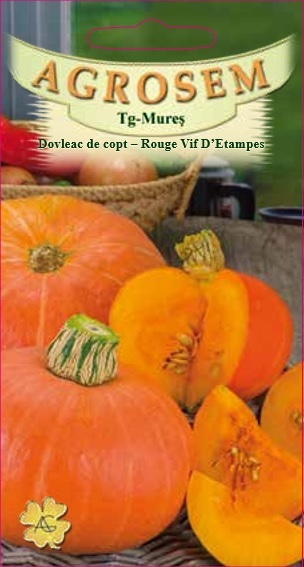 Dovleac de copt - Rouge Vif D'Etampes
