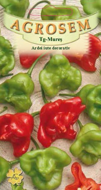 Ardei iute decorativ-Clopoţei