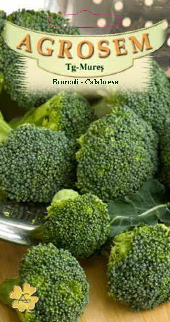 Broccoli - Calabrese