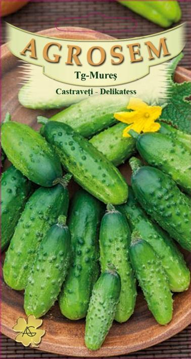 Castraveţi - Delikatess