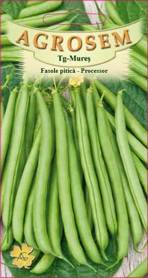 Fasole pitică - Processor