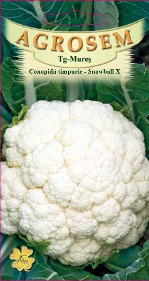Conopidă timpurie - Snowball X