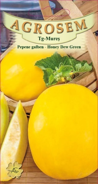 Pepene galben - Honey Dew Green