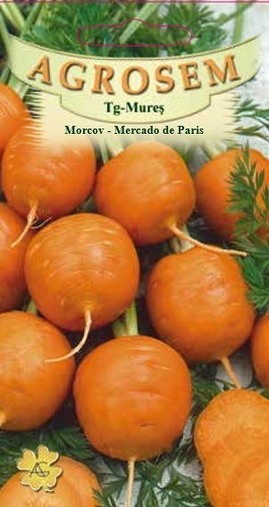 Morcov - Mercado de Paris