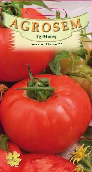 Tomate - Buzău 22