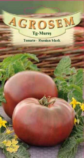 Tomate - Russian black