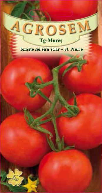 Tomate soi seră-solar - Saint Pierre