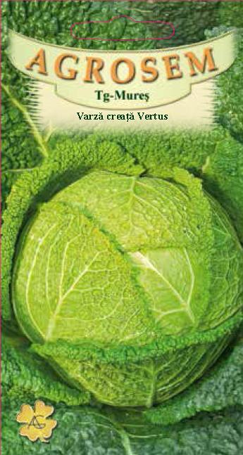 Varză creaţă - Vertus