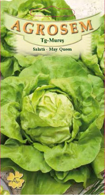 Salată - May Queen