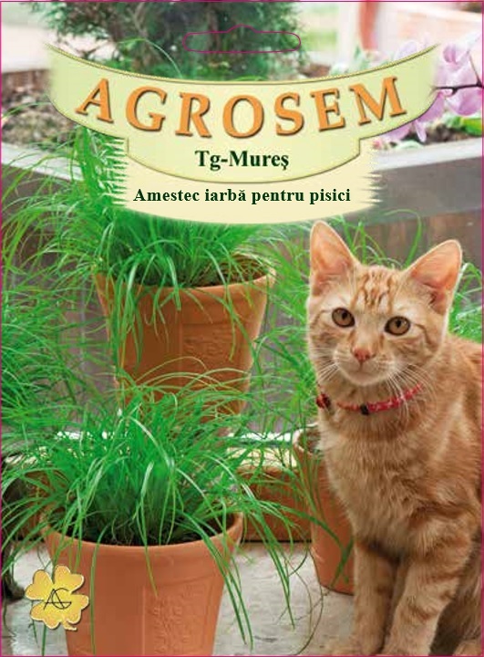 Amestec iarbă pentru pisici