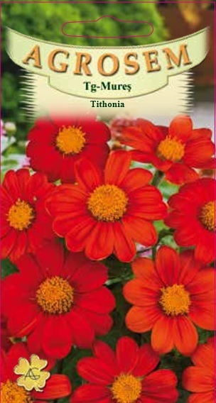 Tithonia