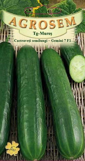 Castraveţi semilungi - Gemini F1