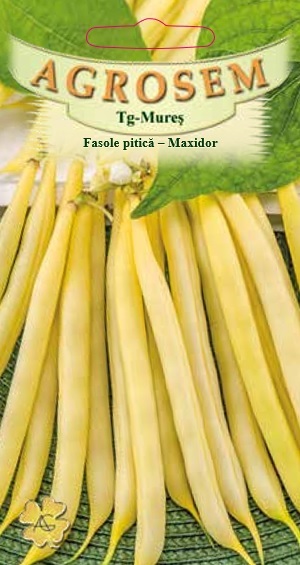 Fasole pitică -Maxidor