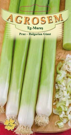 Praz -Bulgarian Giant