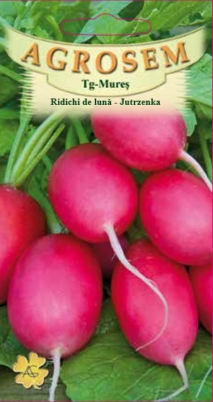 Ridichi de lună -Jutrzenka