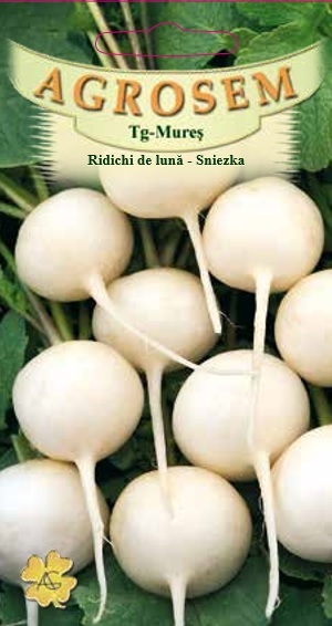 Ridichi de lună -Sniezka