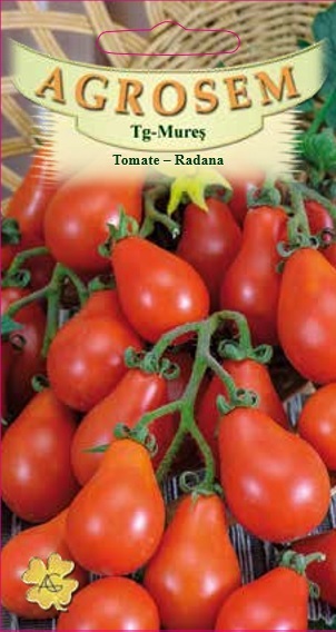 Tomate-Radana