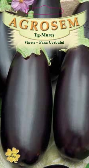 Vinete-Pana Corbului