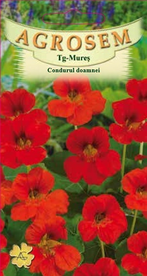 Condurul doamnei rosu