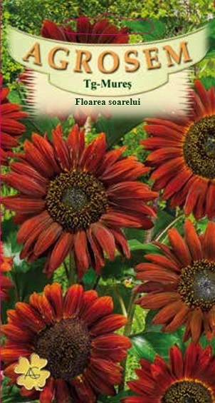 Floarea soarelui roșie