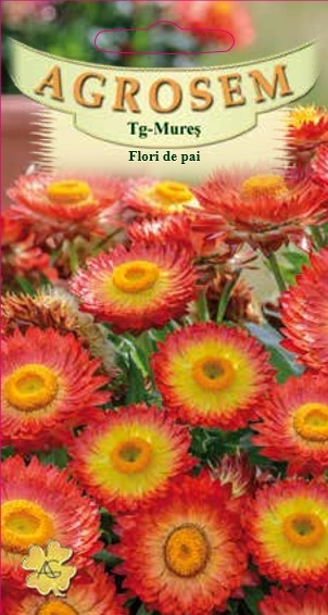 Flori de pai portocalii