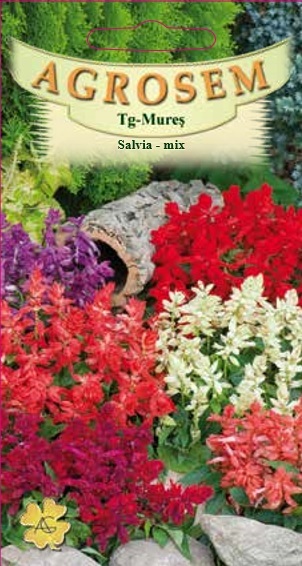 Salvia mică mix