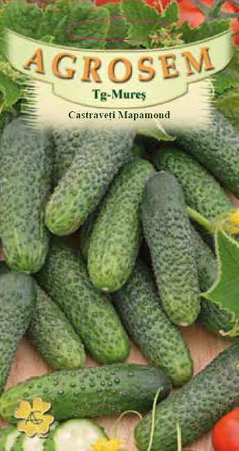 Castraveţi Mapamond