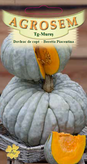 Dovleac de copt-Beretta Piacentina