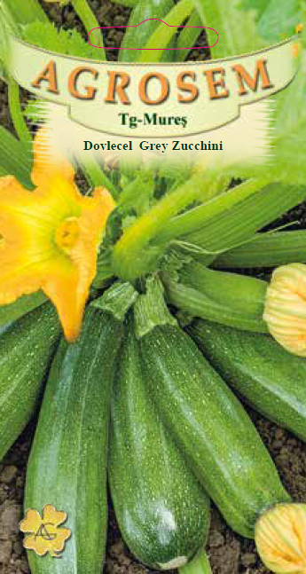 Dovlecel Grey Zucchini