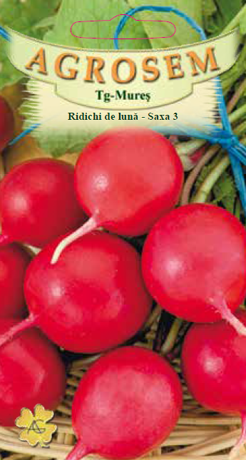 Ridichi de lună-Saxa 3