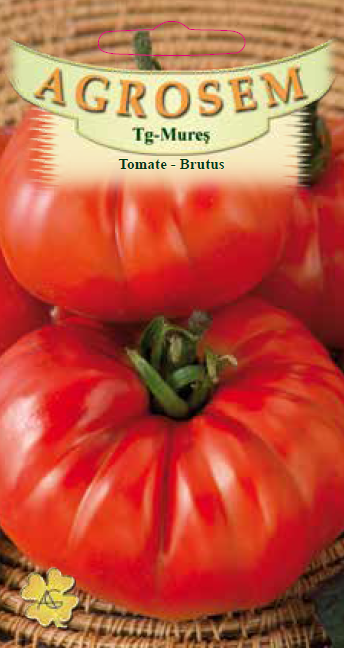 Tomate-Brutus
