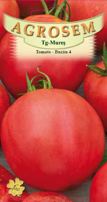 Tomate-Buzău 4
