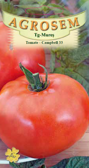Tomate-Campbell 33