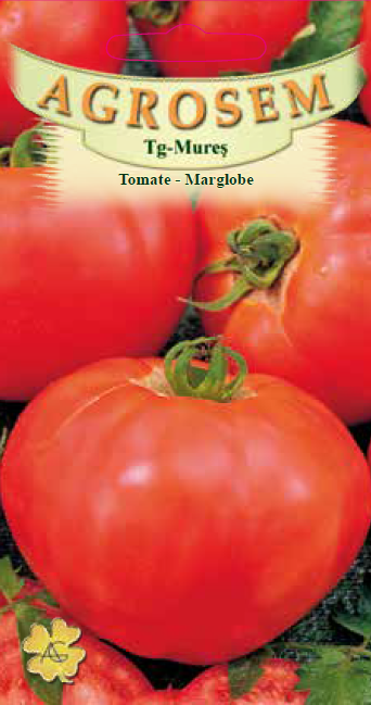 Tomate-Marglobe