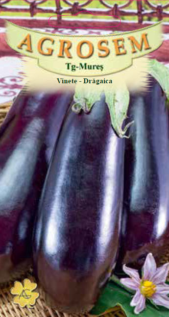 Vinete-Drăgaica