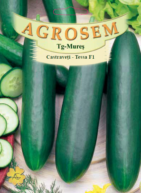 Catraveţi semilungi Tessa F1