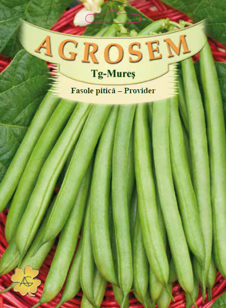 Fasole pitică-Provider