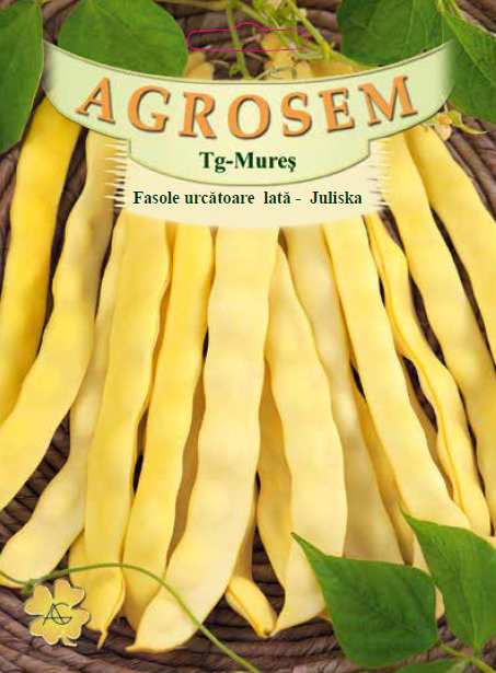 Fasole urcătoare lată-Juliska