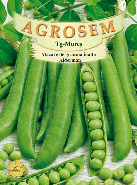 Mazăre de grădină înaltă-Alderman