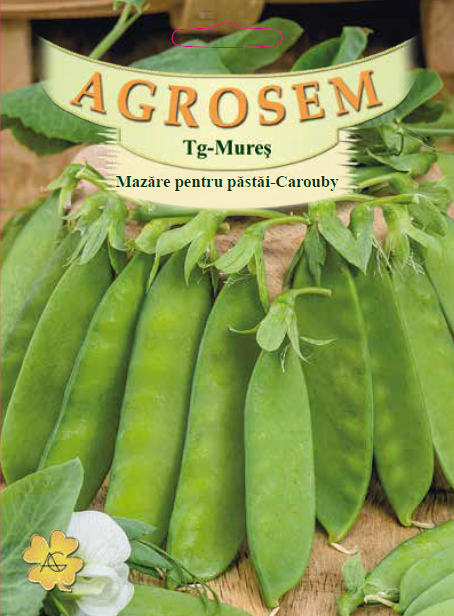 Mazăre pentru păstăi-Carouby